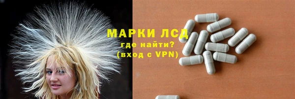 СК Алексин