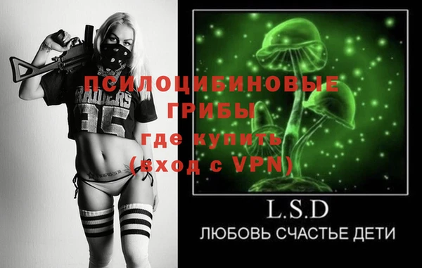 дживик Касимов